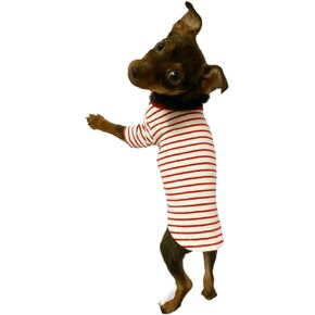 YQYS Pet Dog T-Shirts Thick Striped Cotton Tee Shirt for Small Dogs and Cats Puppy Clothes Dog Apparel Teacup Dog Clothing for Chihuahua Yorkie Poodle Black White XXSmall