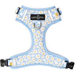 Lucy & Co. Cute No-Pull Simply Splendid Harness - Stop Pulling & Walk Easy - Harness Available in XS-XL for Small, Medium, and Large Dogs - Blue Yellow Daisies (X-Small)