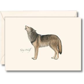 Earth Sky + Water - Gray Wolf Notecard Set - 8 Blank Cards with Envelopes