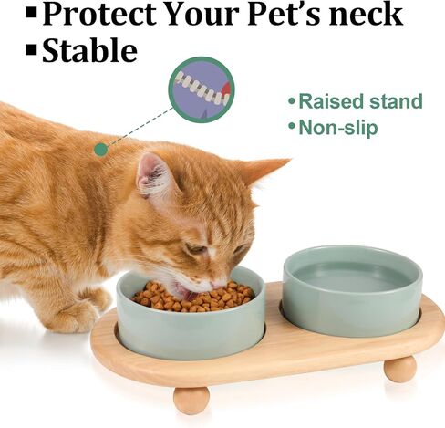 FRIUSATE Ceramic Elevated Cat Bowls,Raised Cat Food and Water Bowl,Protect Pet's Spine,Anti Vomiting Pet Feeding Dishes for Indoor Cats Puppy Kitty,Whisker Fatigue in Kuwait