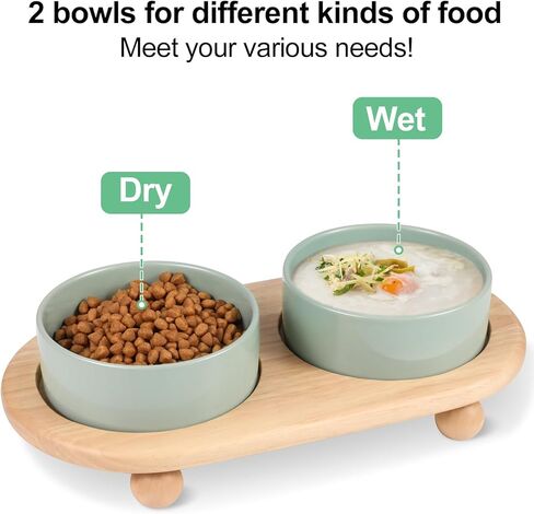 FRIUSATE Ceramic Elevated Cat Bowls,Raised Cat Food and Water Bowl,Protect Pet's Spine,Anti Vomiting Pet Feeding Dishes for Indoor Cats Puppy Kitty,Whisker Fatigue in Kuwait