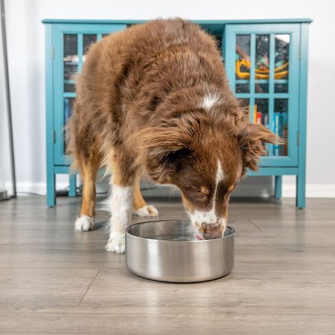 Stainless Steel Dog Bowls, Water Bowls for Large Dogs (Set of 2) Double Walled Pet Bowl | Use as a Outdoor Dog Bowl for Food or Water Holds 2 Quarts / 64 oz in Saudi Arabia