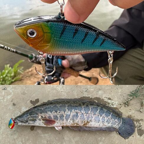 طقم طعوم صيد 400 قطعة. خطافات صيد السمك الكبيرة للمياه العذبة. تحتوي طُعم الصيد وطُعم الصيد على طُعم مرفقي وديدان بلاستيكية وخطافات صيد ورقصات وزردية صيد متعددة الاستخدامات والمزيد. in Kuwait