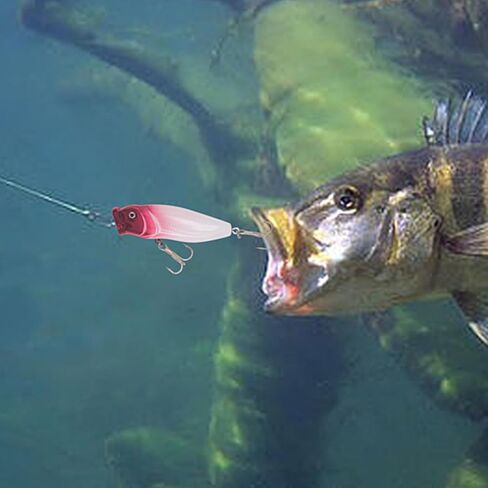 طقم طعوم صيد 400 قطعة. خطافات صيد السمك الكبيرة للمياه العذبة. تحتوي طُعم الصيد وطُعم الصيد على طُعم مرفقي وديدان بلاستيكية وخطافات صيد ورقصات وزردية صيد متعددة الاستخدامات والمزيد. in Kuwait