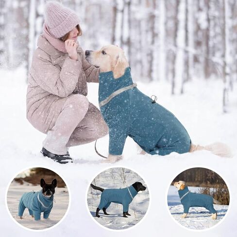 معطف للكلاب، معاطف دافئة للكلاب المتوسطة، سترة للكلاب من الصوف القطبي مقاومة للرياح، سترة شتوية للطقس البارد، بلوفر من الصوف، بدلة قطعة واحدة، سترة للكلاب 4 أرجل مع حزام تثبيت باللون الأخضر M in Saudi Arabia
