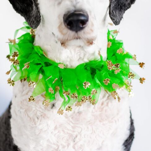 Midlee St. Patrick's Day Shamrock Decorative Dog Collar- Green & Gold 4 Leaf Clover Pet Accessory- Small in Saudi Arabia