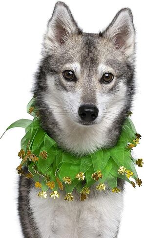 Midlee St. Patrick's Day Shamrock Decorative Dog Collar- Green & Gold 4 Leaf Clover Pet Accessory- Small in Saudi Arabia