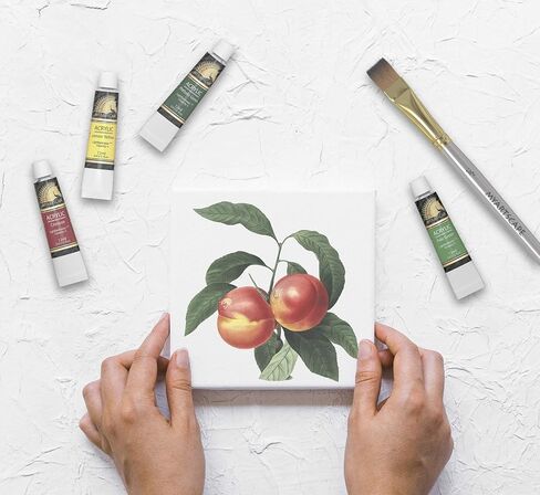 مجموعة طلاء الأكريليك من MyArtscape - أنابيب 24 × 12 مل - خفيفة الوزن - جسم ثقيل - تدوم طويلاً - ألوان نابضة بالحياة - لوازم فنية احترافية - دهانات بجودة فنية in Kuwait