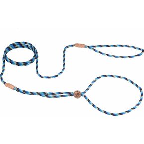 Alvalley Nylon Adjustable Loop Lead - Braided Dog Leash with Leather Ends - Perfect for Small and Medium Dogs - Suitable for Training & Showing