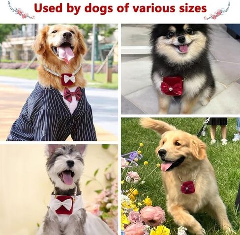 La La Pet®Detachable Pet Wedding Collar with Ring Bearer Box Dog Pet Wedding Collar with Ring Box Couple Ring Storage Box for Proposal Engagement Wedding Party White XL in Kuwait
