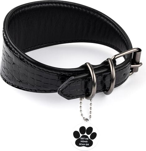 Sighthound Wide Leather Dog Collar with ID Tag QR for Whippet Italian Greyhound Saluki Borzoi Lurcher Spanish Galgo, Luxury Dog Collars, Soft Leather Dog Collar for Sensitive Neck (Green, XS) in Saudi Arabia