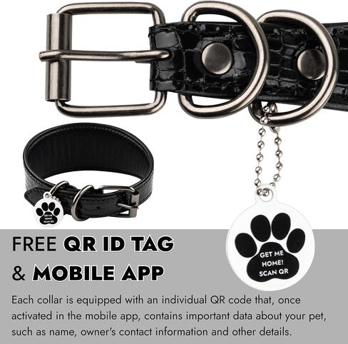 Sighthound Wide Leather Dog Collar with ID Tag QR for Whippet Italian Greyhound Saluki Borzoi Lurcher Spanish Galgo, Luxury Dog Collars, Soft Leather Dog Collar for Sensitive Neck (Green, XS) in Saudi Arabia