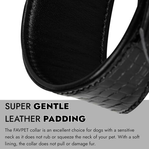Sighthound Wide Leather Dog Collar with ID Tag QR for Whippet Italian Greyhound Saluki Borzoi Lurcher Spanish Galgo, Luxury Dog Collars, Soft Leather Dog Collar for Sensitive Neck (Green, XS) in Saudi Arabia