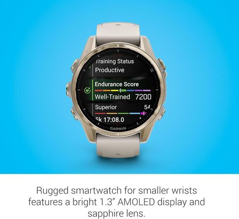 Garmin Fenix 8 Premium Multisport GPS Running Smartwatch, 47 mm, AMOLED, Dive-Rated, Built-in Flashlight, Slate Gray with Black Band with Signature Series Charging Stand in Saudi Arabia