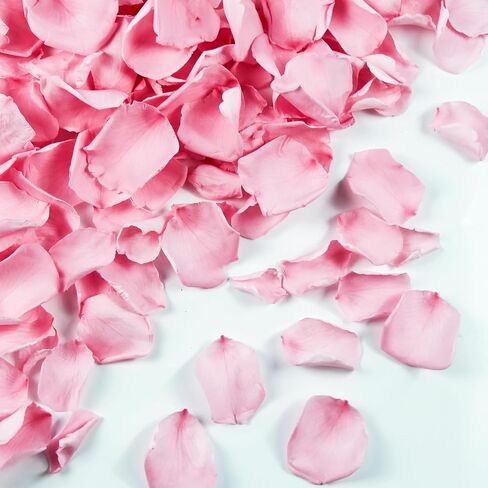 180 PCS Dried Real Red Rose Flower Petals Confetti for Wedding, 1.75oz Preserved Freeze Flower Girl Petals for Romantic Night Wedding Proposal Valentine's Day Centerpeice BabyShower Decor in Saudi Arabia