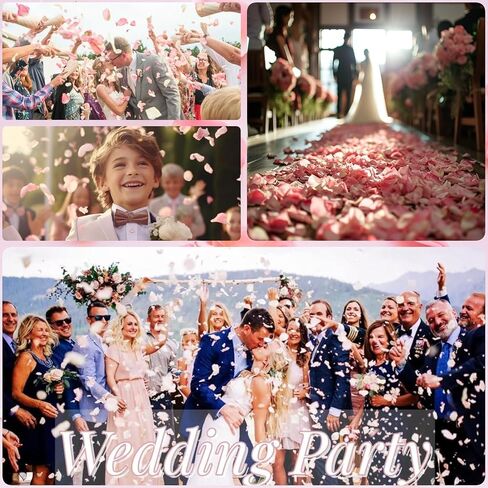 180 PCS Dried Real Red Rose Flower Petals Confetti for Wedding, 1.75oz Preserved Freeze Flower Girl Petals for Romantic Night Wedding Proposal Valentine's Day Centerpeice BabyShower Decor in Saudi Arabia