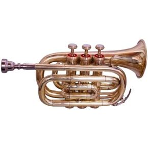 Queen Brass Pocket Trumpet Brass Finish Awesome Sounds Quality Bb W/Case+Mp Gold