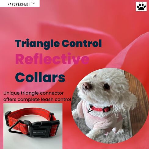 Triangle control red reflective durable Dog collar-Fits very small puppies as well as a larger thick dog-Safety (PURPLE, SMALL) in Saudi Arabia