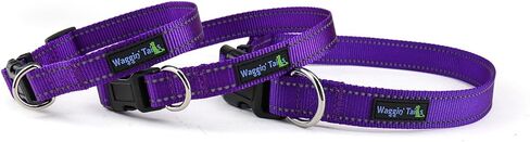 Classic Reflective Dog Collar (Small, Hunter Green) in Kuwait