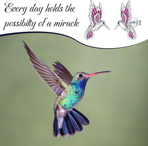 925-Sterling-Silver Cute Hummingbird Stud Earrings - Lovely Flying Bird With Purple Handmade Enamel Animal Hypoallergenic Jewelry Gifts for Women Girls EJALEN, Sterling Silver, No Gemstone in Kuwait