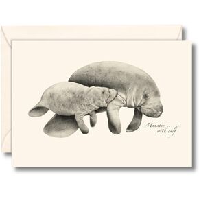 Earth Sky + Water - Manatee Notecard Set - 8 Blank Cards with Envelopes