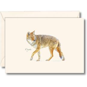Earth Sky + Water - Coyote Notecard Set - 8 Blank Cards with Envelopes