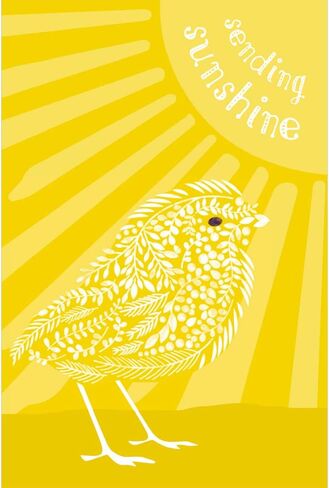 Tree-Free Greetings 12 Pack All Occasion Notecards, Eco Friendly, Made in USA, 100% Recycled Paper ECOnotes, 4 x 6 Inches, Sunshine Season (FS54317) in Saudi Arabia
