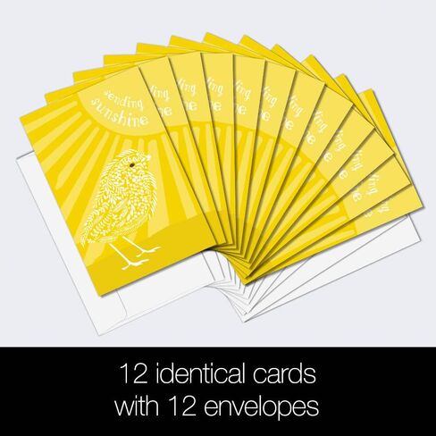 Tree-Free Greetings 12 Pack All Occasion Notecards, Eco Friendly, Made in USA, 100% Recycled Paper ECOnotes, 4 x 6 Inches, Sunshine Season (FS54317) in Saudi Arabia
