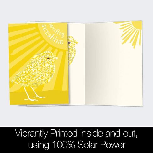 Tree-Free Greetings 12 Pack All Occasion Notecards, Eco Friendly, Made in USA, 100% Recycled Paper ECOnotes, 4 x 6 Inches, Sunshine Season (FS54317) in Saudi Arabia