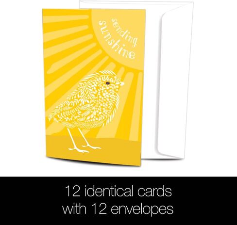 Tree-Free Greetings 12 Pack All Occasion Notecards, Eco Friendly, Made in USA, 100% Recycled Paper ECOnotes, 4 x 6 Inches, Sunshine Season (FS54317) in Saudi Arabia