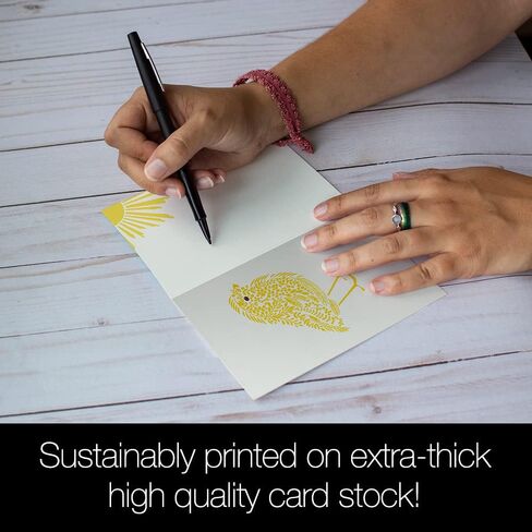 Tree-Free Greetings 12 Pack All Occasion Notecards, Eco Friendly, Made in USA, 100% Recycled Paper ECOnotes, 4 x 6 Inches, Sunshine Season (FS54317) in Saudi Arabia