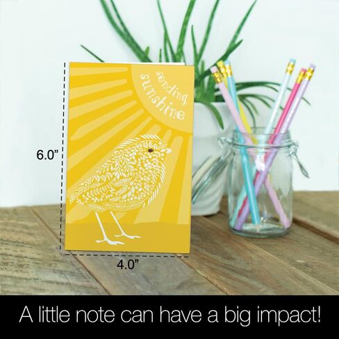 Tree-Free Greetings 12 Pack All Occasion Notecards, Eco Friendly, Made in USA, 100% Recycled Paper ECOnotes, 4 x 6 Inches, Sunshine Season (FS54317) in Saudi Arabia