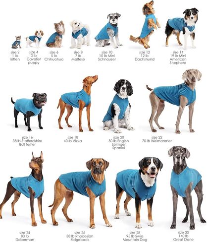 معطف الكلب من الصوف القابل للتمدد بمخلب ذهبي - ملابس ناعمة ودافئة للكلاب، سترة قابلة للتمدد للحيوانات الأليفة - يمكن غسلها في الغسالة، صديقة للبيئة - لجميع المواسم - مقاسات 2-33، باذنجان، مقاس 12 in Kuwait