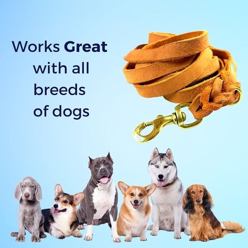 Braided Leather Dog Leash 10 Foot - Full Grain Heavy Duty Dog Leashes for Large Medium Small Dogs. 10 Ft Soft Leather Lead | Best for Training Hiking Walking Actual Size (Dark Brown) in Kuwait