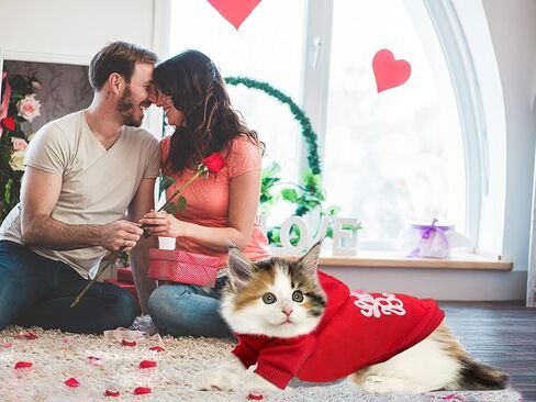 قطعتان من سترة بغطاء للرأس للكلاب، ملابس للحيوانات الأليفة باللون الوردي والأحمر، سترة بقلنسوة للكلاب مع فتحة للحزام، سترة صغيرة جميلة للحيوانات الأليفة لعيد الحب وعيد الميلاد للسلالات الصغيرة والمتوسطة مقاس L in Kuwait