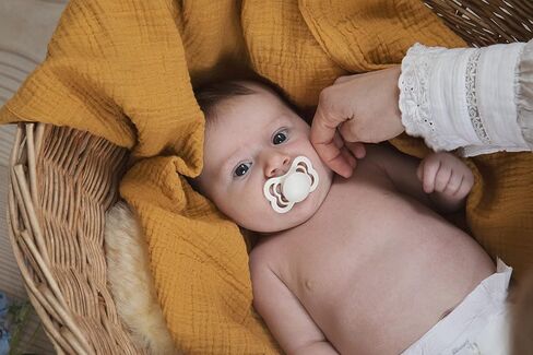 BIBS Pacifier Try-it Collection | Size 0-6 Months | Vanilla in Saudi Arabia