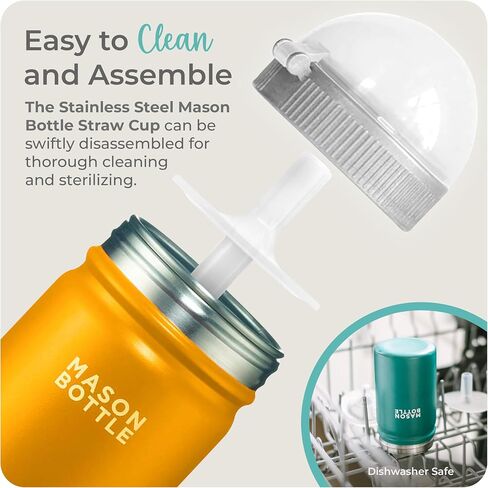 Mason Bottle Stainless Steel Straw Cup, Light-Weight, Single-Wall - Includes 1 Stainless Steel Mason Jar, 1 Ring & Cap, 1 Straw Top (Green) in Kuwait