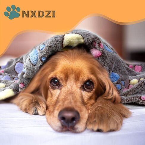 Dog Blankets for Medium Large Dogs, Cute Paw Pattern Washable 41" x 31" in Kuwait