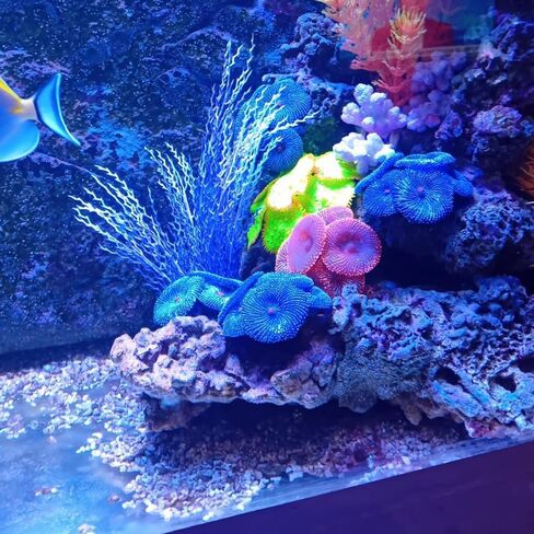 Artificial Coral, Faux Coral Ornaments, Coral Aquarium Decorations for Fish Tank Aquarium, Fish Cave Hideout Decoration Landscape (Blue Coral) in Kuwait