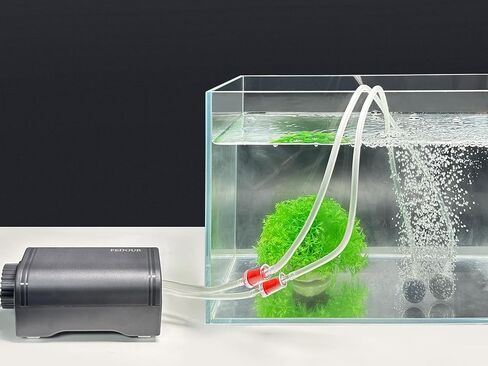 FEDOUR 80GPH Aquarium Air Pump, Ultra Quiet Oxygen Pump, Powerful Whisper Aerator for up to 100Gallon Fish and Turtle Tank, Fish Air Bubbler with Air Tube Air Stone Check Valve in Kuwait