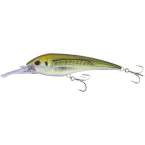 Nomad Design DTX Minnow 180 طعم التصيد عالي التحمل - طعم صيد المياه المالحة، نظام التشغيل التلقائي، سرعة عالية 18+ أداء عقدة، أسماك أسماك المياه المالحة تغوص 10-12 قدم، سلسلة عداء Squall للأسطح الكبيرة
