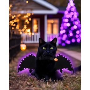 Light Up Halloween Costume for Cat Dog, 30LEDs Pet Cat Bat Wings for Halloween Party Decoration, Cute Puppy Collar Cosplay Costume with Purple Lights, Funny Clothes for Cat Dress Up Accessories (M)