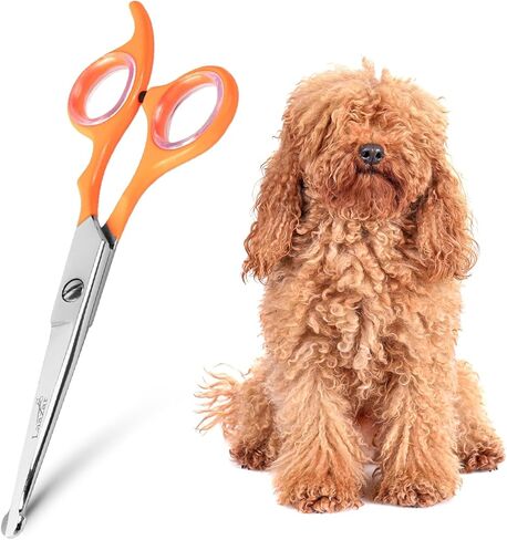 Rounded dog grooming scissors Professional - Sharp Stainless Steel Blades with Colorful Handles, Safe - Easy, Long Lasting grooming scissors for dogs at home (Curved Scissors) in Saudi Arabia