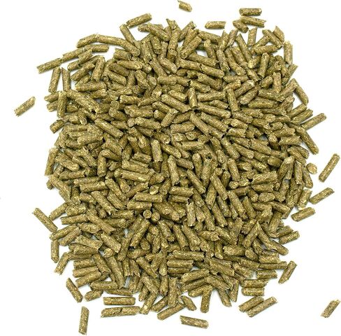 طعام Oxbow Essentials للخنازير الغينية الصغيرة - حبيبات خنزير غينيا الطبيعية بالكامل - 10 رطل. in Kuwait