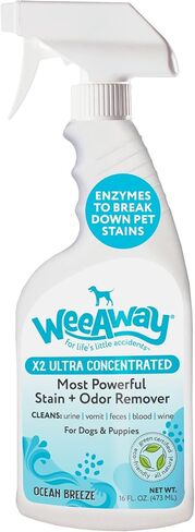 X2 Ultra Concentrated Pet Stain and Odor Remover, Enzyme Cleaner for Dog Urine and Poop Carpet & Furniture Safe, Pet Urine Odor Eliminator Spray (Green Tea 16 oz) in Saudi Arabia