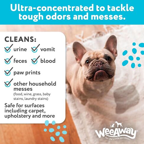X2 Ultra Concentrated Pet Stain and Odor Remover, Enzyme Cleaner for Dog Urine and Poop Carpet & Furniture Safe, Pet Urine Odor Eliminator Spray (Green Tea 16 oz) in Saudi Arabia
