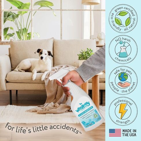 X2 Ultra Concentrated Pet Stain and Odor Remover, Enzyme Cleaner for Dog Urine and Poop Carpet & Furniture Safe, Pet Urine Odor Eliminator Spray (Green Tea 16 oz) in Saudi Arabia