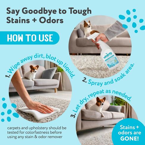 X2 Ultra Concentrated Pet Stain and Odor Remover, Enzyme Cleaner for Dog Urine and Poop Carpet & Furniture Safe, Pet Urine Odor Eliminator Spray (Green Tea 16 oz) in Saudi Arabia