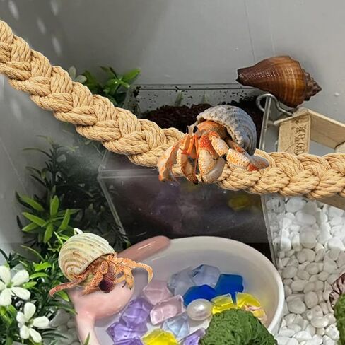 2PCS Hermit Crab Climbing Toys,Hermit Crab Rope Ladder Decor Reptile Hanging Vines Toys Hermit Crab Supplies Reptiles Habitat Tank Terrarium Accessories for Lizard Leopard Gecko Tree Frog(Blue) in Kuwait