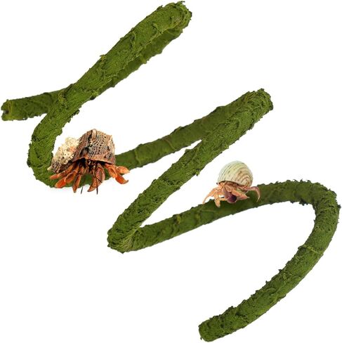 ألعاب تسلق سرطان البحر الناسك للخزان، كرمة الغابة للزواحف، زينة فرع تسلق سرطان البحر الناسك كروم الزواحف للتسلق - أخضر (خشبي، 99 * 0.7 بوصة) in Kuwait